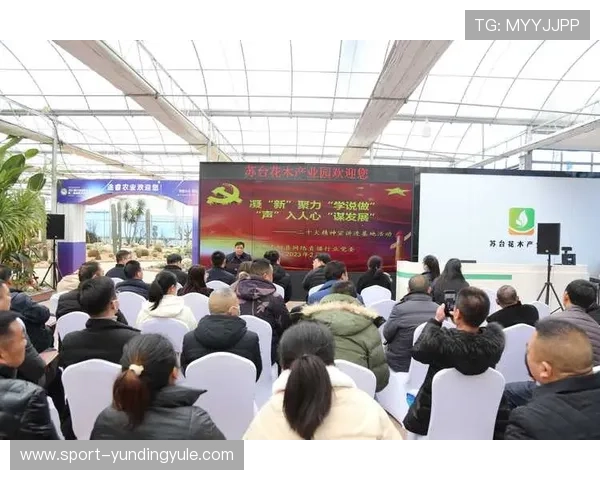 云顶国际平台怎么样：比较不同平台的优惠活动与奖励机制，帮助玩家获取最大利益